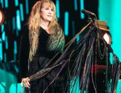 How would you describe Stevie Nicks?