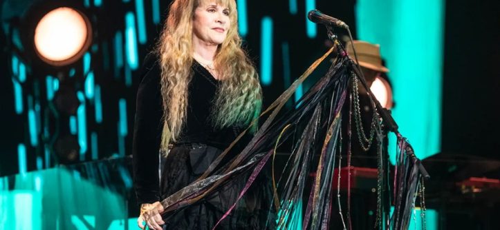 How would you describe Stevie Nicks?