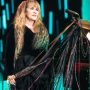 How would you describe Stevie Nicks?