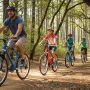 Family riding value mountain bikes on forest trail