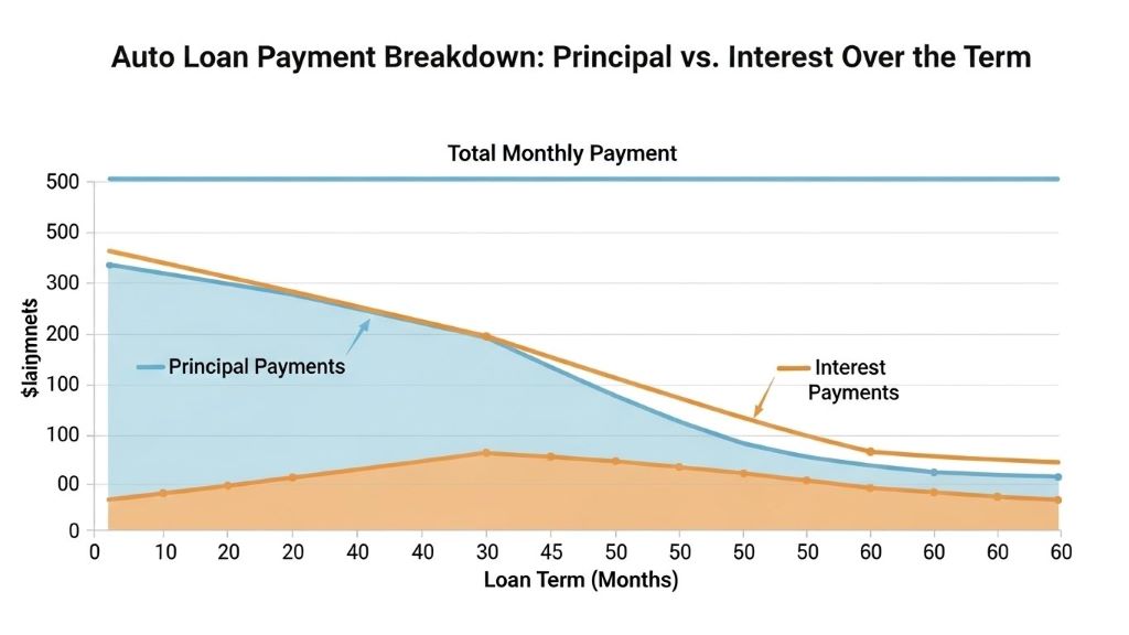 Graph illustrating principal versus interest payments over auto loan term