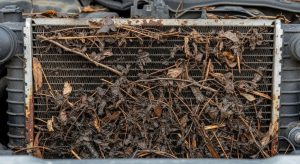Close-up view of automobile radiator blocked by leaves and road debris causing cooling problems