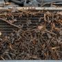 Close-up view of automobile radiator blocked by leaves and road debris causing cooling problems