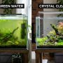 Side-by-side comparison of green cloudy aquarium water and clear tank water