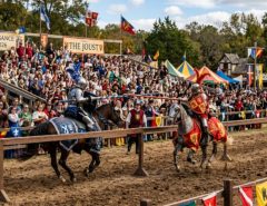 Costumed performers at the Texas Renaissance Festival 2026 jousting tournament in Todd Mission Texas
