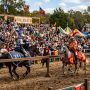 Costumed performers at the Texas Renaissance Festival 2026 jousting tournament in Todd Mission Texas